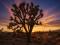 1 Acre in Desirable Dolan Springs Location