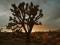 1 Acre in Desirable Dolan Springs Location