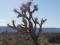 Castle Butte Road in beautiful Yucca, AZ