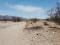 Nice Buildable 1.17 Acres w neighboring lot available